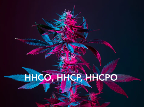 hhco hhc-vape thc vape cbd hampa cannabis engångsvape